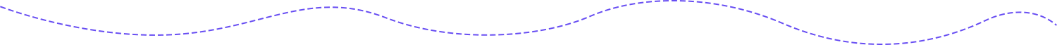 Requirements Audit